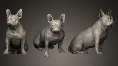 3D model DOG B20 (STL)